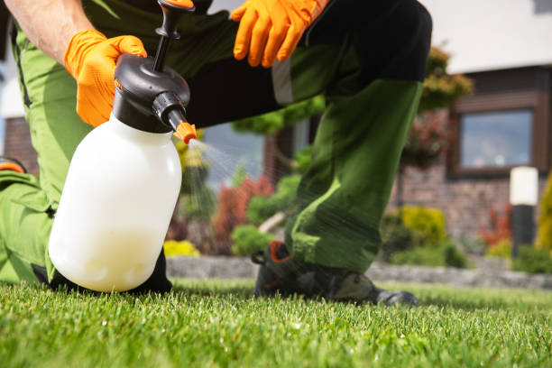 Best Seasonal Pest Control  in Shields, MI